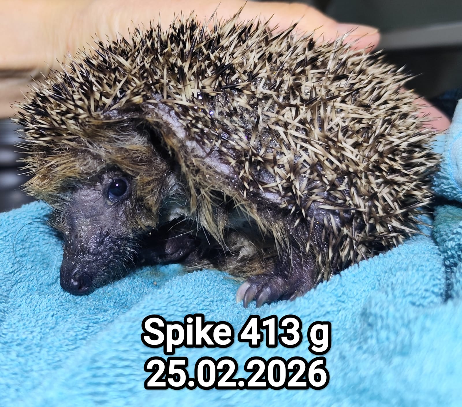 whatsapp image 2026 03 16 at 08.45.42