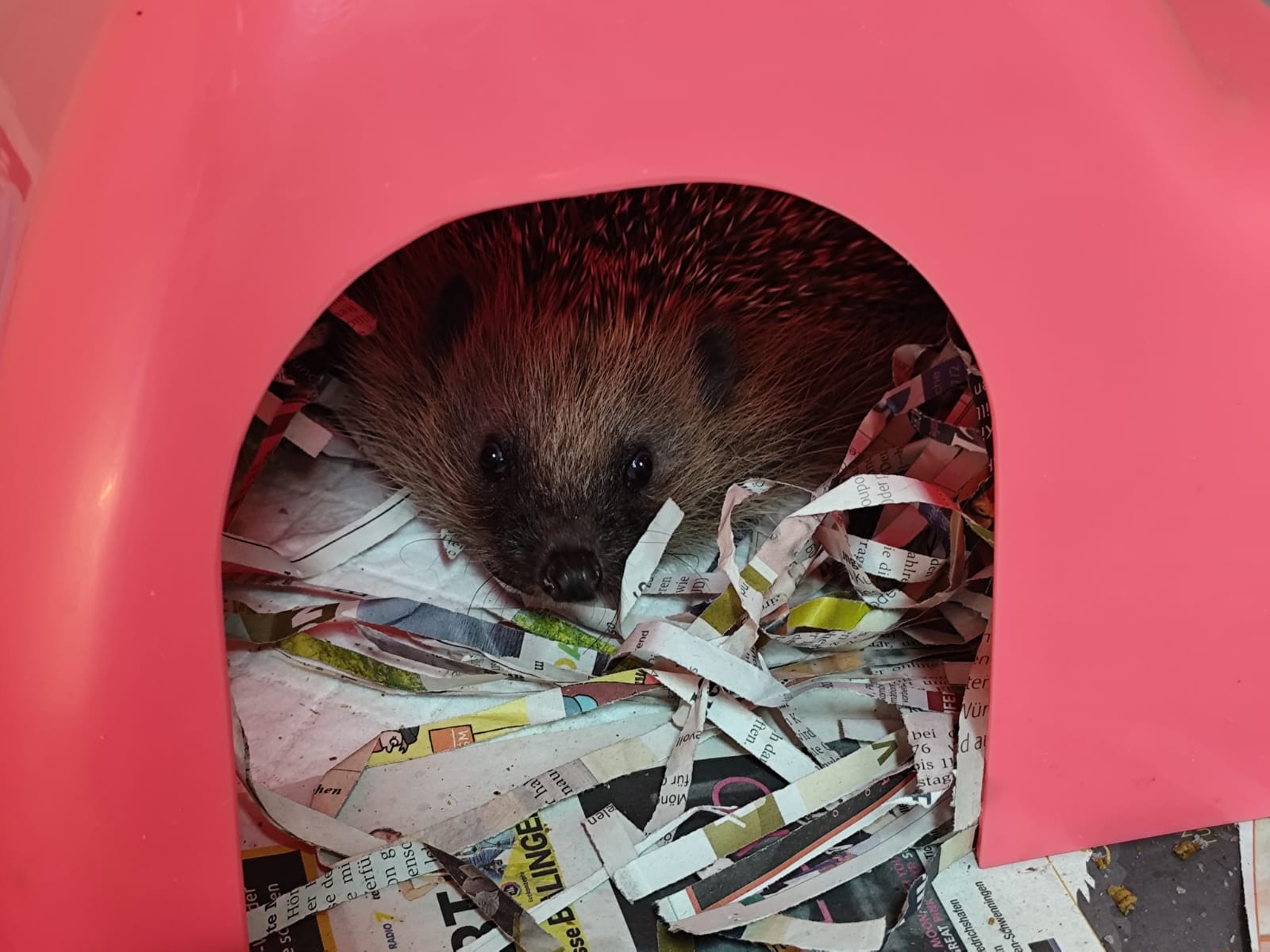 whatsapp image 2026 03 20 at 11.05.31