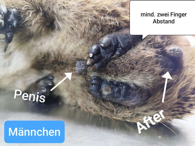 mänlich2026 07 18 at 09.59.41