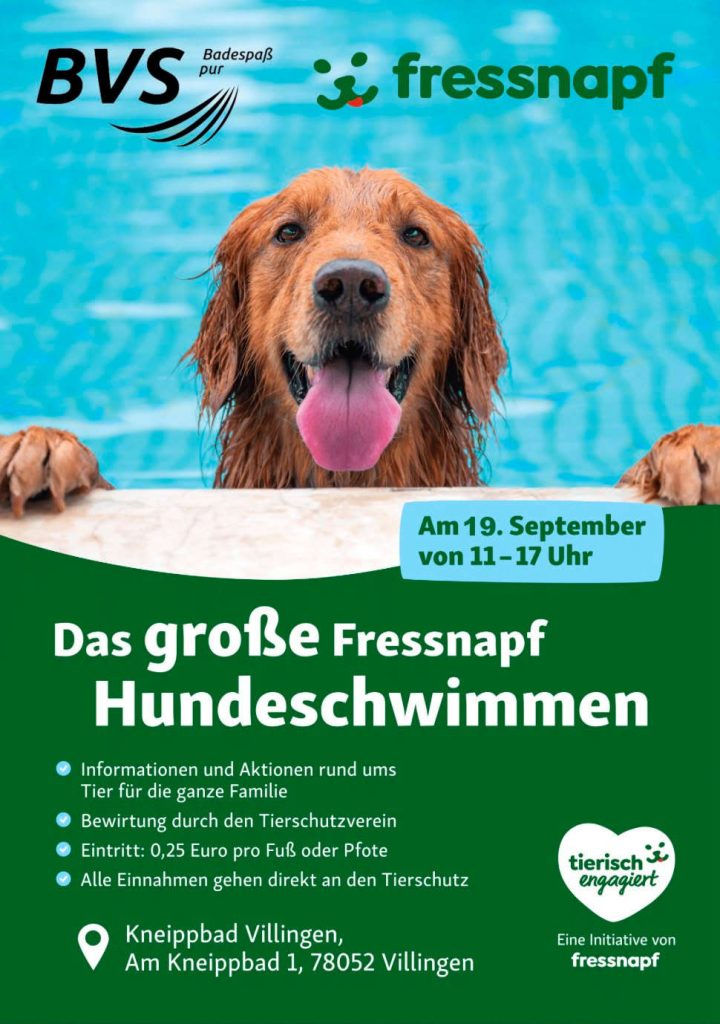 hundeschwimmen 2026 08 25 at 19.14.57