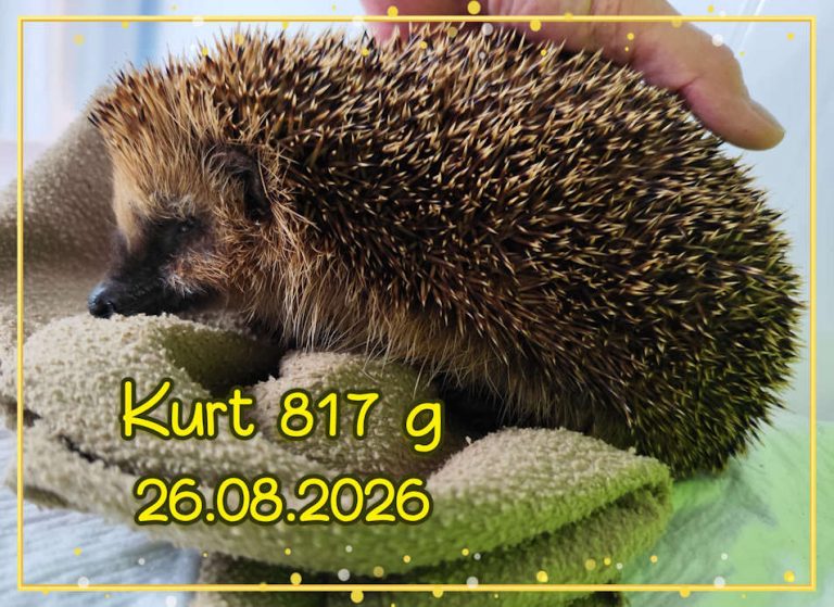 kurt 2026 08 27 at 15.28.06