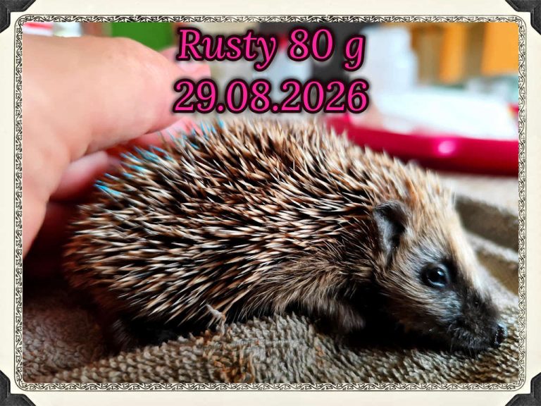 rusty 2026 08 30 at 16.47.15