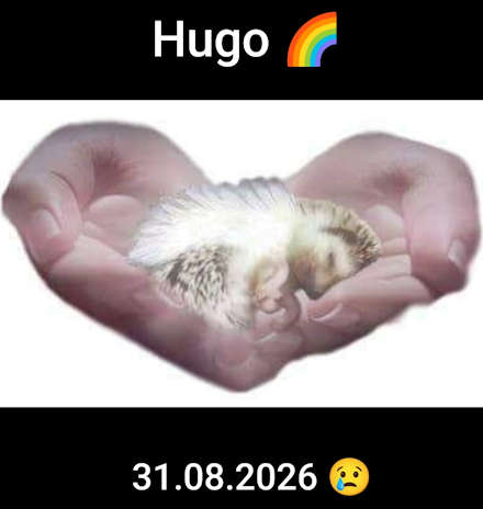 Igelstation Durchhausen hugo 2026 08 31 at 19.53.58