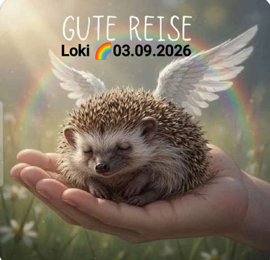 Igelstation Durchhausen loki 2026 09 03 at 15.14.42