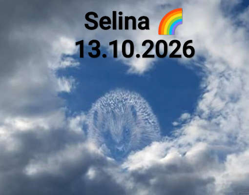Igelstation Durchhausen selina 2026 10 13 at 14.53.57
